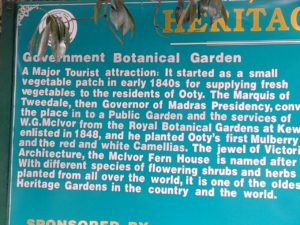 Ooty Botanical Garden_0