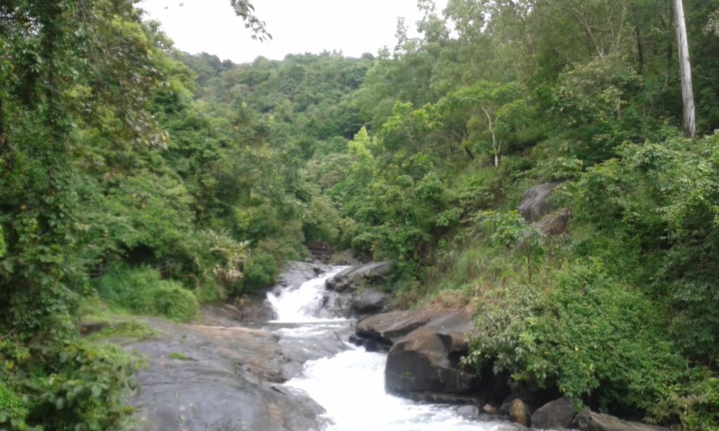 Vythiri Tourism 9